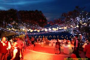 Fairy light on the trees