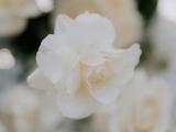 The Wedding of Jared & Lisbeth, Balangan Clifftop Bali Florist & Decoration at Balangan Clifftop