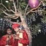 Fairy light on trees 